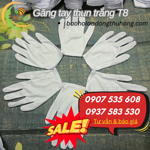 Găng tay vải trắng T8 freesize cho nam nữ Găng tay vải trắng T8 freesize cho nam nữ