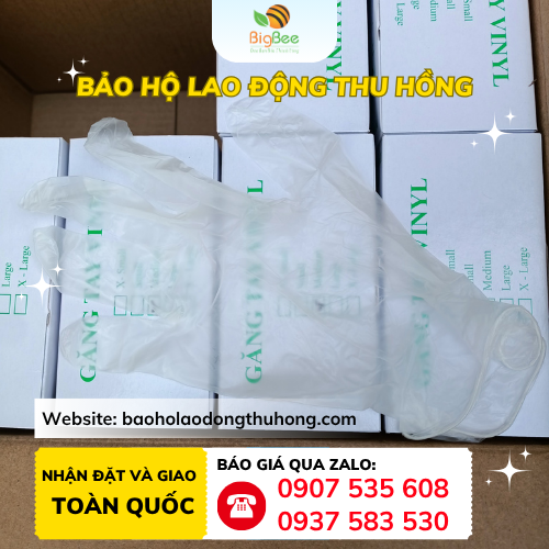 Găng tay Vinyl trong suốt Găng tay Vinyl trong suốt giá sỉ rẻ toàn quốc