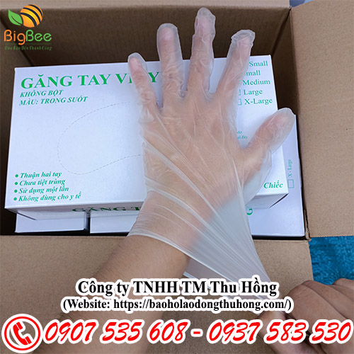 Găng tay vinyl không bột trong suốt