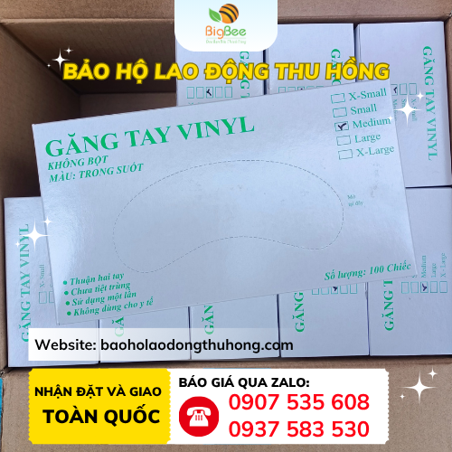 Găng tay Vinyl trong suốt Găng tay Vinyl trong suốt chưa tiệt trùng hộp 50 đôi