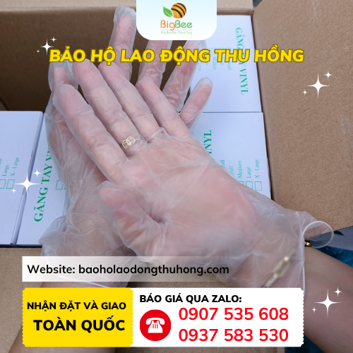 Găng tay Vinyl trong suốt Găng tay Vinyl trong suốt dùng một lần