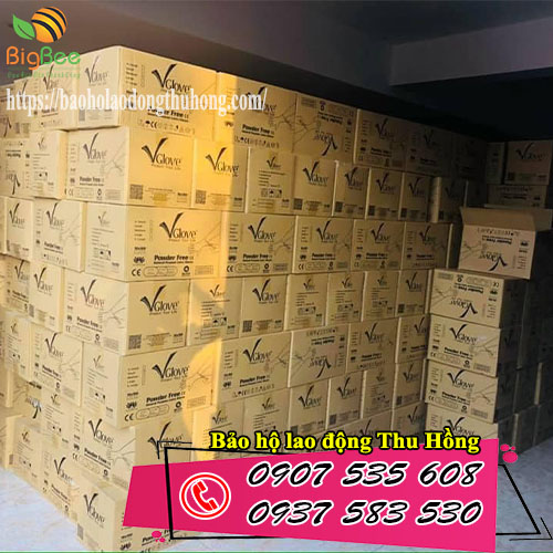 Găng tay y tế Vglove không bột phân phối sỉ tại TPHCM