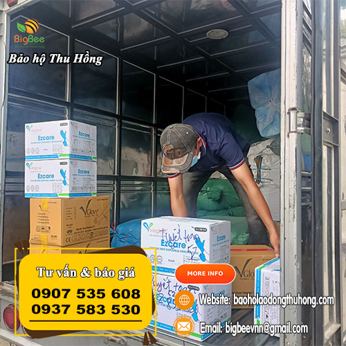 Găng tay y tế Vglove, Vietglove giao miễn phí về tỉnh Đắk Lắk Găng tay y tế Vglove, Vietglove giao miễn phí về tỉnh Đắk Lắk