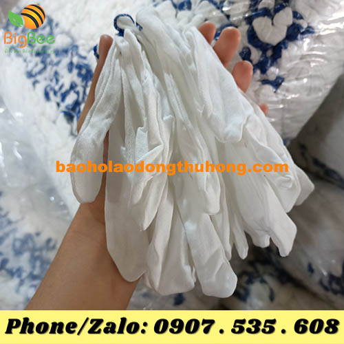 giá bán sỉ bao tay thun bo T5 nữ là bao nhiêu?