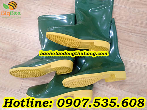 giá ủng rêu đế vàng là bao nhiêu?