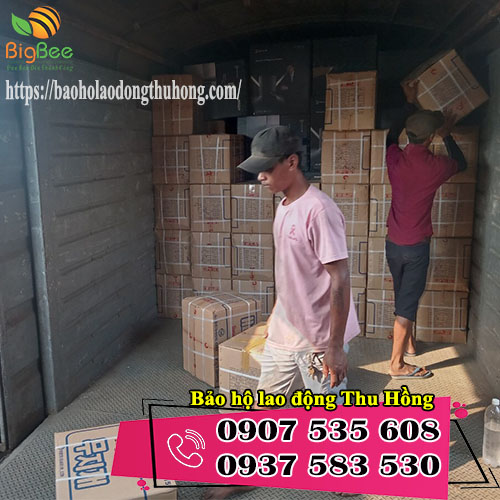 giao 20 thùng găng tay cao su Đông Cầu Vồng