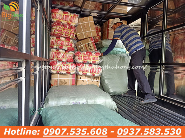 giao bao tay len nhúng nhựa ở Đắk Lắk 01