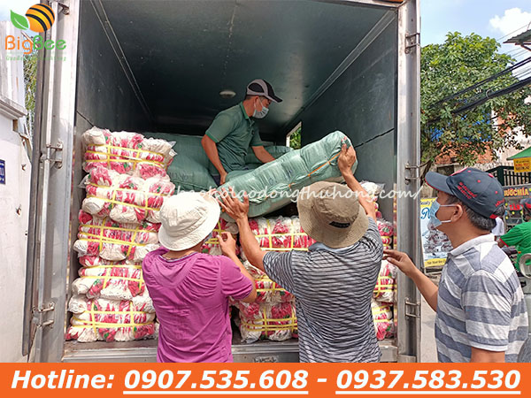 giao bao tay len nhúng nhựa ở Đắk Lắk 02