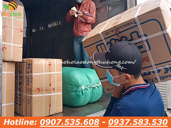 giao găng tay cao su Đông Cầu Vồng đi ga sóng thần 03