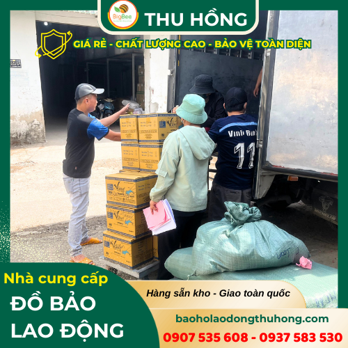 Giao hàng nhanh găng tay y tế Vglove - Vietglove - TTglove đủ size cho khách sỉ Giao hàng nhanh găng tay y tế Vglove - Vietglove - TTglove đủ size cho khách sỉ