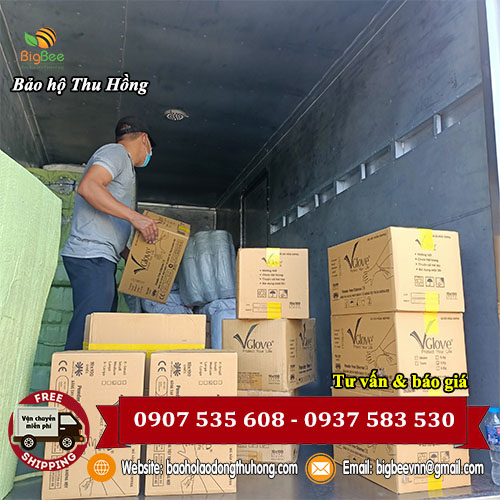 Giao nhanh găng tay y tế Vglove Latex không bột miễn phí Giao nhanh găng tay y tế Vglove Latex không bột miễn phí