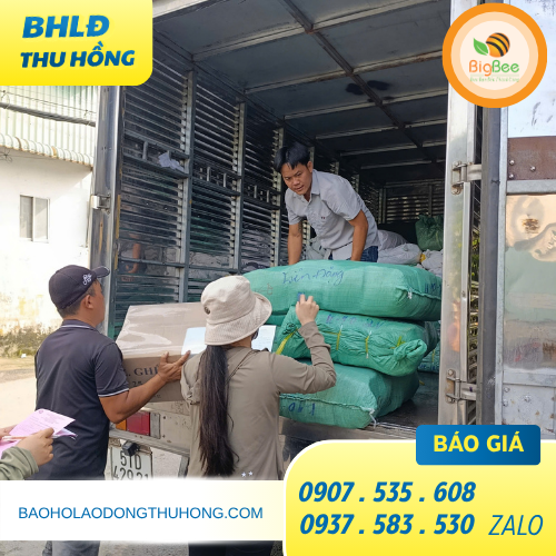 Giao sỉ găng tay cotton màu trắng miễn phí tại TPHCM Giao sỉ găng tay cotton màu trắng miễn phí tại TPHCM