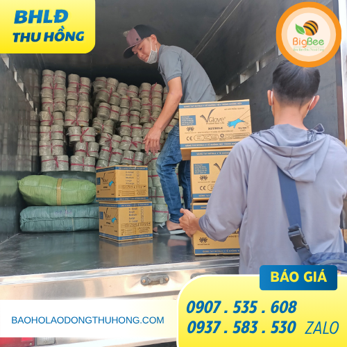 Giao sỉ găng tay y tế Vglove tại TPHCM Giao sỉ găng tay y tế Vglove tại TPHCM