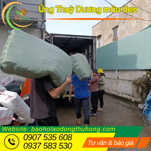 Giao sỉ ủng Thuỳ Dương đen đóng bao sẵn Giao sỉ ủng Thuỳ Dương đen đóng bao sẵn