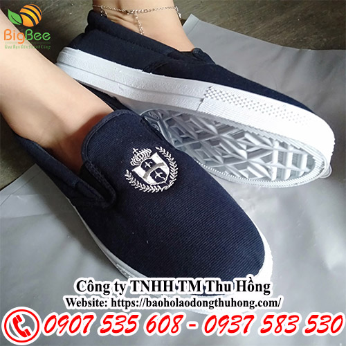 Giày Asia không dây tập thể dục