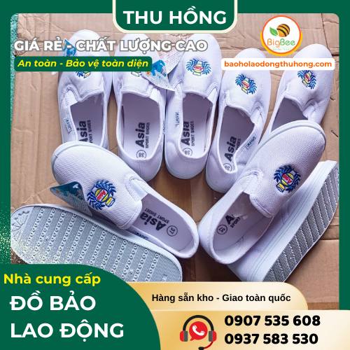 Giày lười Asia đủ màu, đủ size, hợp mọi phong cách Giày lười Asia đủ màu, đủ size, hợp mọi phong cách