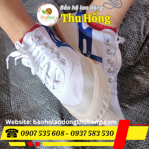 Giày Thượng Đình trắng size 33 đến 43 Giày Thượng Đình trắng size 33 đến 43