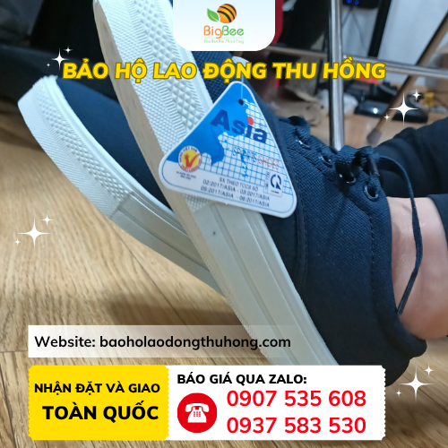 Giày vải Asia cột dây Giày vải Asia cột dây cổ thấp dễ mang