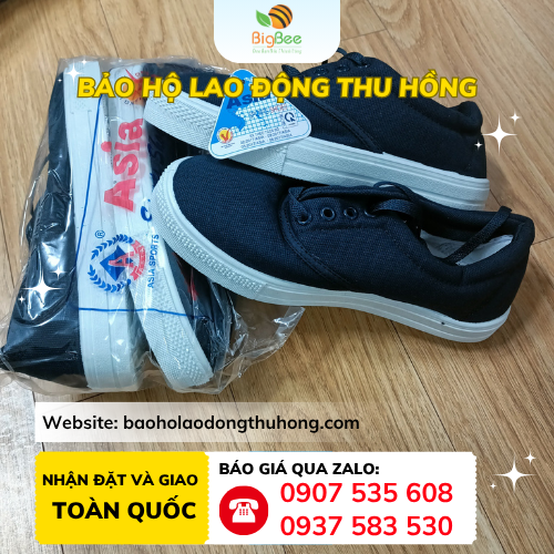 Giày vải Asia cột dây Giày vải Asia cột dây giá rẻ cho đại lý TPHCM