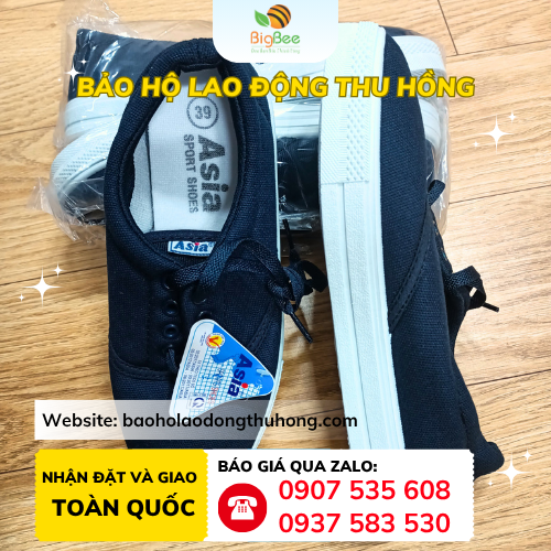 Giày vải Asia cột dây Giày vải Asia cột dây màu xanh đậm