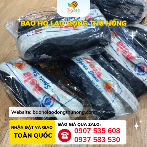 Giày vải Asia cột dây Giày vải Asia cột dây số lượng nhiều