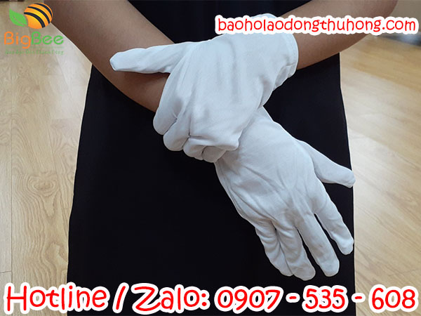 Bao tay bảo hộ thun trắng T10