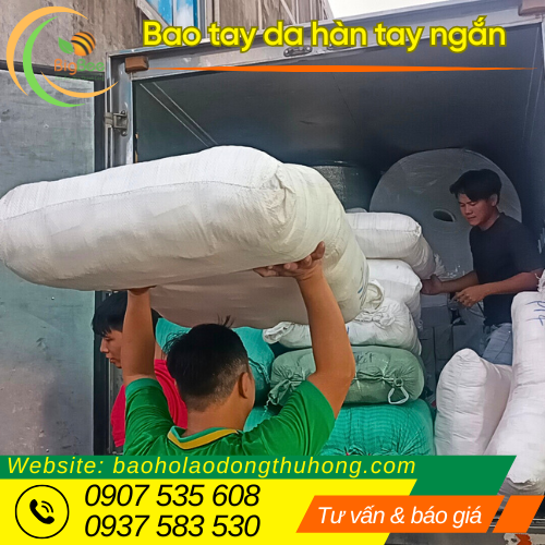 Mua bán bao tay da hàn tay ngắn toàn quốc Mua bán bao tay da hàn tay ngắn toàn quốc