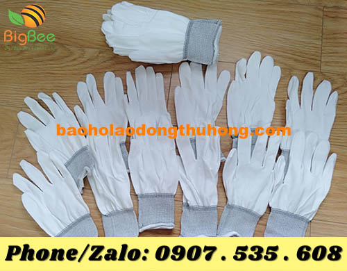 Mua găng tay bảo hộ thun trắng không phủ PU số lượng lớn ở đâu?