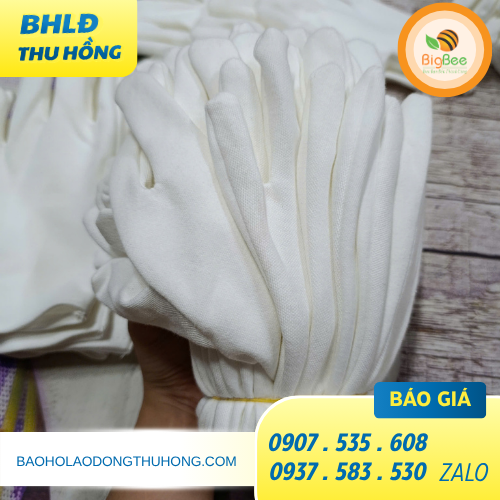 Mua găng tay cotton màu trắng tại Thu Hồng Mua găng tay cotton màu trắng tại Thu Hồng