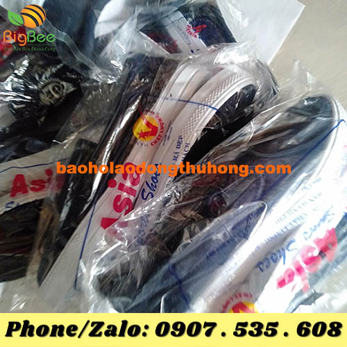 mua giày bata tập thể dục Asia ở đâu?