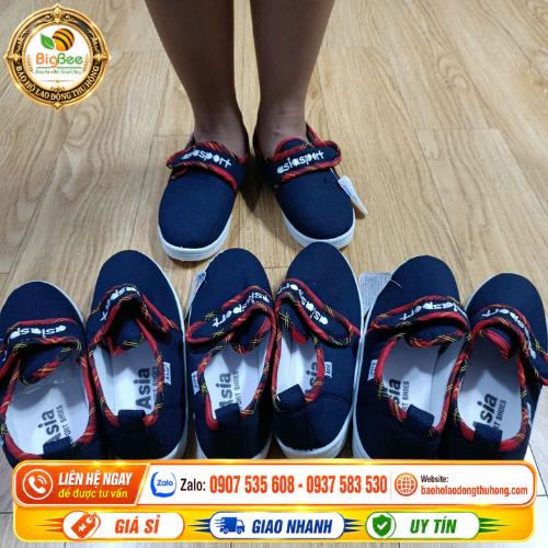 Giày vải bata quai dán Asia Mua giày vải bata quai dán Asia giá rẻ size nam nữ