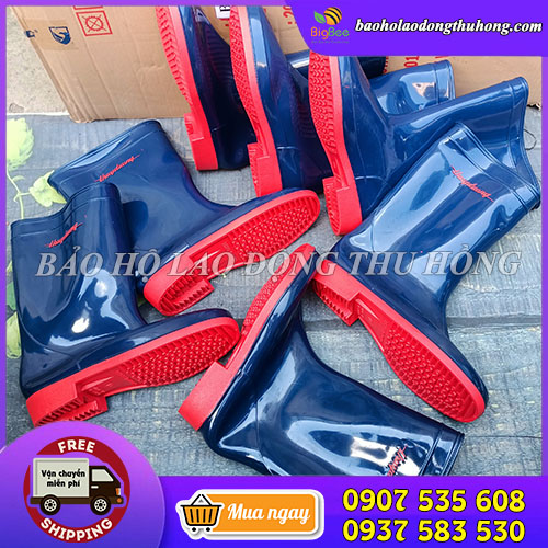 Mua ủng cao su Thuỳ Dương xanh dương chính hãng ở đâu Mua ủng cao su Thuỳ Dương xanh dương chính hãng ở đâu