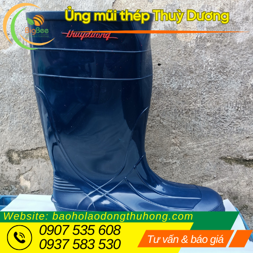 Mua ủng Thuỳ Dương mũi thép giá tốt nhất tại Thu Hồng Mua ủng Thuỳ Dương mũi thép giá tốt nhất tại Thu Hồng