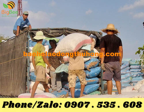 nghề bốc vác hàng hóa