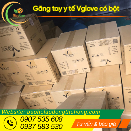 Nguồn hàng găng tay y tế Vglove có bột số lượng lớn của Thu Hồng  Nguồn hàng găng tay y tế Vglove có bột số lượng lớn của Thu Hồng