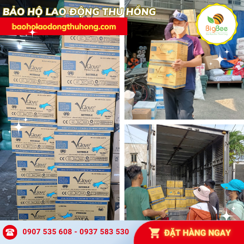 Nguồn hàng sỉ găng tay y tế Nitrile Vglove sẵn tại Thu Hồng