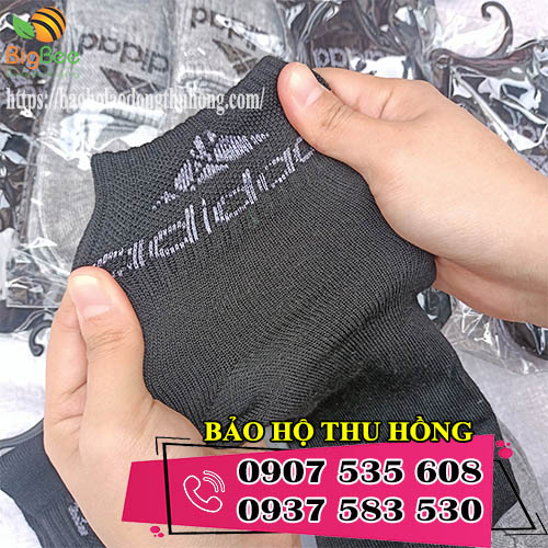 Nguồn lấy sỉ tất vớ nam nữ giá rẻ