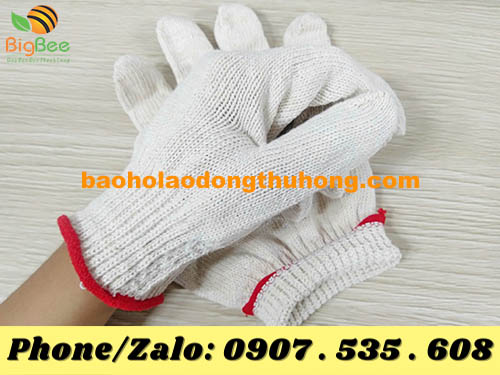 nhà phân phối găng tay len kem màu trắng ở đâu?