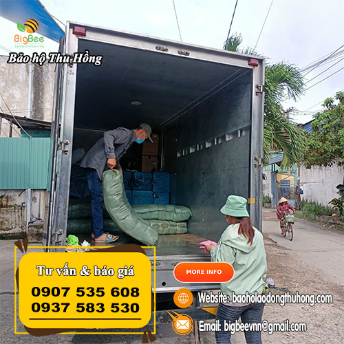 Nhận giao hàng bao tay vải trắng ráp kẻ miễn phí Nhận giao hàng bao tay vải trắng ráp kẻ miễn phí