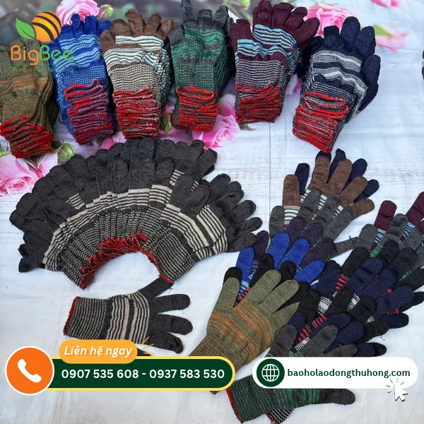 Găng tay poly thời trang nhiều màu cho khách nhập sỉGăng tay poly thời trang nhiều màu cho khách nhập sỉ Găng tay poly thời trang nhiều màu cho khách nhập sỉ