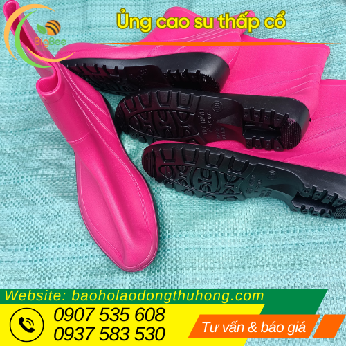 Nhập sỉ ủng cao su thấp cổ tại Thu Hồng Nhập sỉ ủng cao su thấp cổ tại Thu Hồng