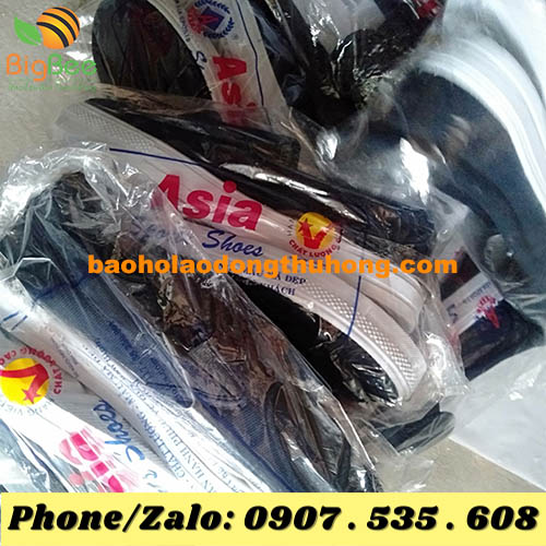 nơi phân phối giày vải bảo hộ Asia nam xanh đậm ở đâu?