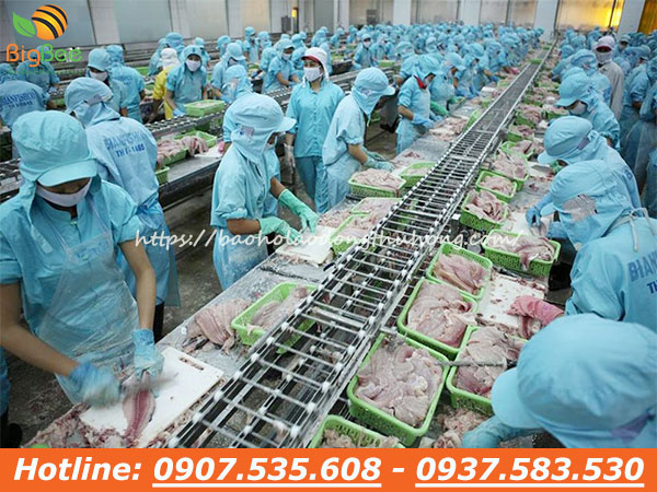 Nón trùm đầu thủy sản giá sỉ rẻ nhất TPHCM