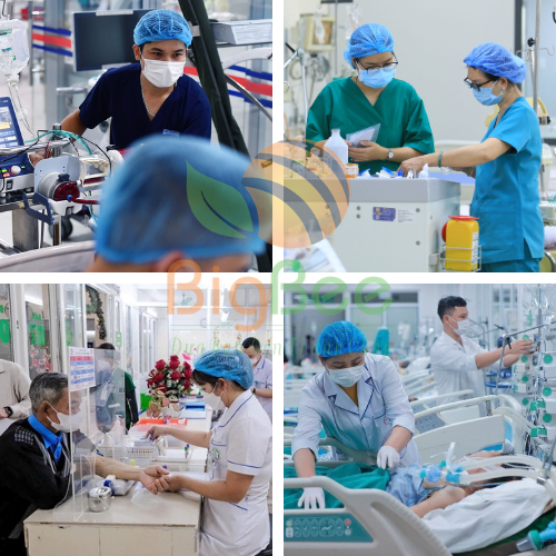 Nón trùm tóc y tế được sử dụng rộng rãi Nón trùm tóc y tế được sử dụng rộng rãi