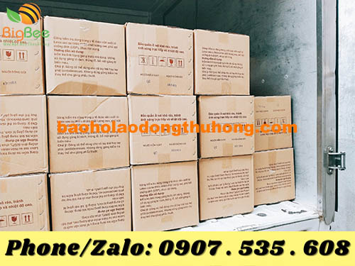 phân phối găng kiểm tra y tế số lượng lớn tại TPHCM