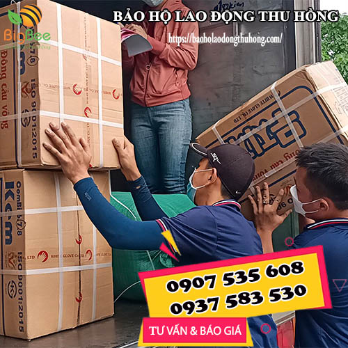 Phân phối găng tay cao su Đông Cầu Vồng combi toàn quốc Phân phối găng tay cao su Đông Cầu Vồng combi toàn quốc