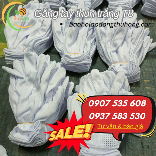 Phân phối găng tay vải trắng T8 giá sỉ rẻ Phân phối găng tay vải trắng T8 giá sỉ rẻ