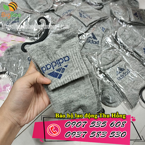 sỉ rẻ vớ chân cotton cổ ngắn giao toàn quốc