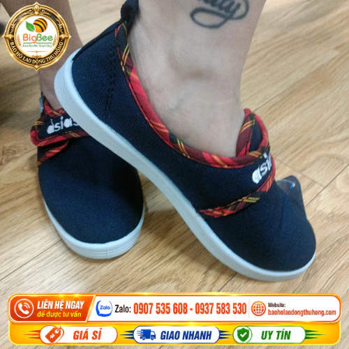 Giày vải bata quai dán Asia Sự đặc biệt của giày bata quai xé dán Asia