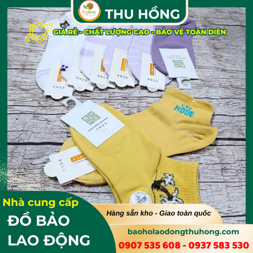 Tất nữ thời trang nhiều màu Tất nữ thời trang nhiều màu